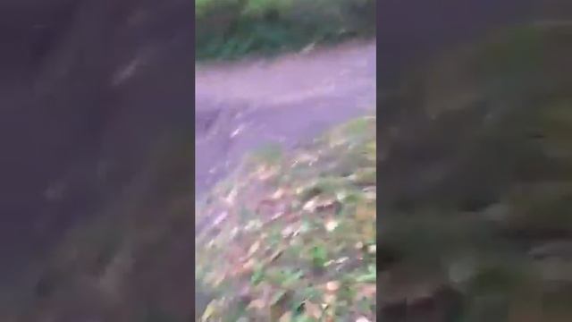 Белка самоубийца смотреть онлайн