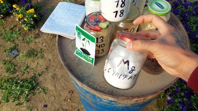 СУЛЬФАТ МАГНИЯ - #1 удобрение для красоты растении СУЛЬФАТ МАГНИЯ это яркие и крупные цветы и листь смотреть онлайн