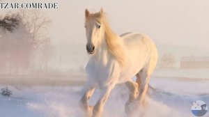 Polyushko-polye , "Полюшко-поле" - Russian Folk song