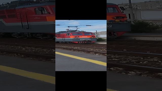 ВЛ80С-2262 чуть не сбил собак на станции заканальная