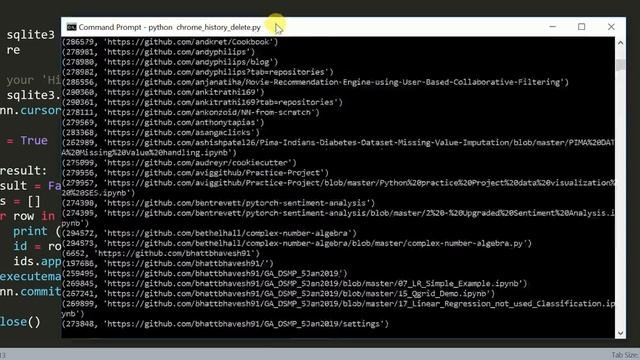 Delete Specific Websites from Google Chrome History using Python смотреть онлайн
