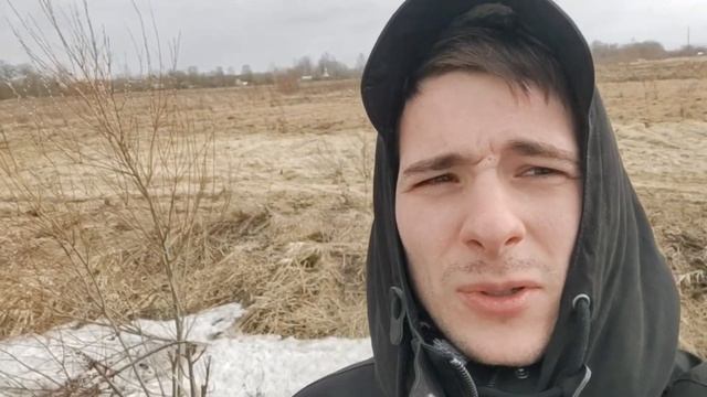 Спонтанные окрестности. Сосновая поляна, Сергиево, Стрельна смотреть онлайн