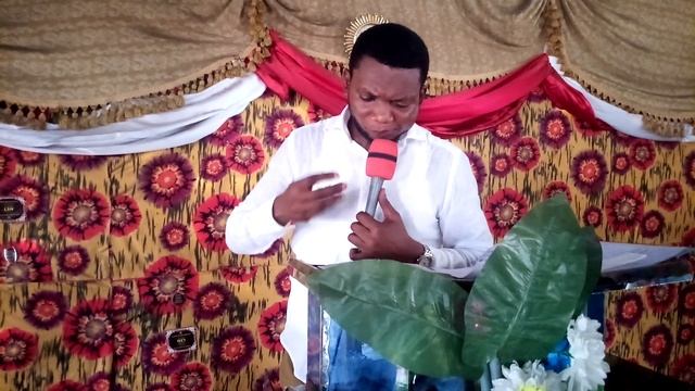 KAKE SAMBO TV смотреть онлайн