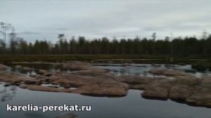 Отдыхаем всей семьей!#рыбалка_в_карелии#услуги_егеря#летняя_рыбалка#отдых_в_карелии