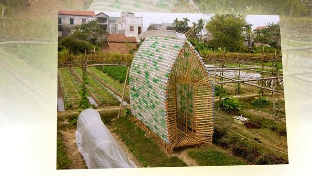 Теплицы из пластиковых бутылок 30+ отличных идей смотреть онлайн