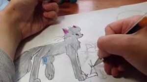 Рисуем Котов воителей - Огонёк.