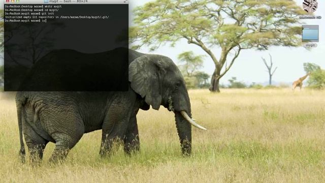 Set up Git Repository on Mac смотреть онлайн