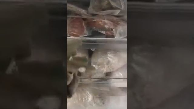 Видео обзор морозильной камеры SCANDILUX FN210E00W смотреть онлайн