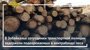 Ирина Волк: В Забайкалье сотрудники транспортной полиции задержали подозреваемых в контрабанде леса