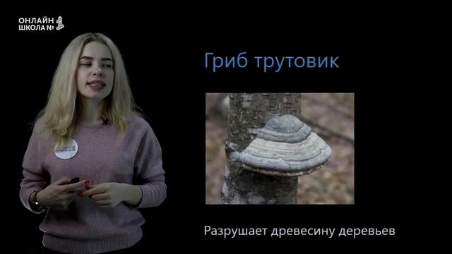 Грибы-паразиты. Урок 19. Биология 5 класс смотреть онлайн