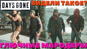 Days Gone(Жизнь После) - Видели такое❓ Глючные мародеры!