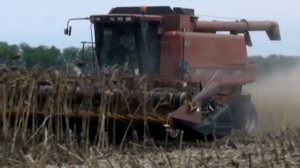 Приспособление (жатка) Лифтер для уборки подсолнечника (Тел.+7(928)4277133