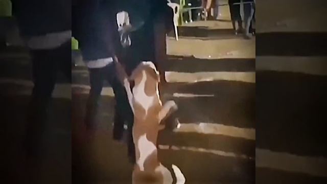 СМОТРИ И СМЕЙСЯ