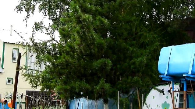 Дача смотреть онлайн