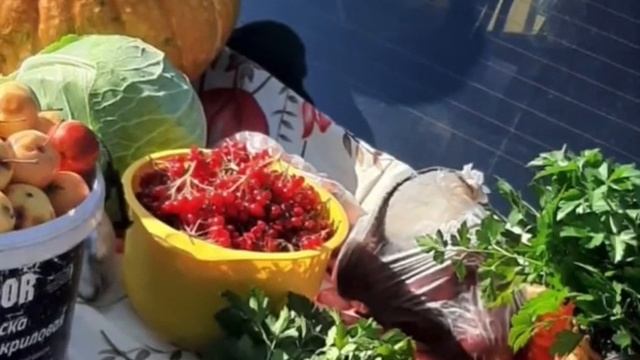 #Трезвоесело2020АльмухаметовоМТСАбзелиловскийрайон