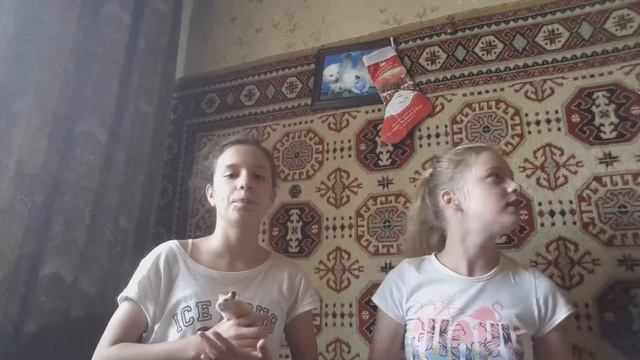 Как спасти вашего хомячка от летней жары♨? смотреть онлайн