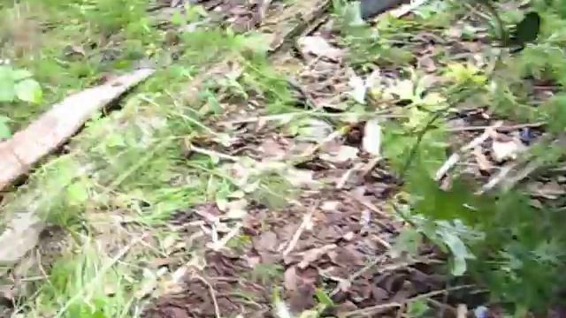 Охота, отдых у охотничьей избушки. смотреть онлайн