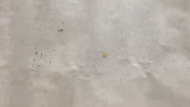 Меренговый рулет с клубникой и маскарпоне рецепт смотреть онлайн