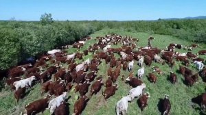 Сельское хозяйство пищевая и перерабатывающая промышленность 2020 года