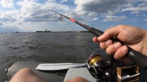 Судак. Начало августа 2023.( Финский залив )