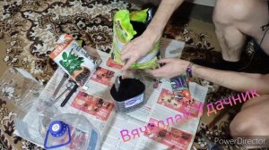 Как посадить семена на рассаду, когда мало места дома.