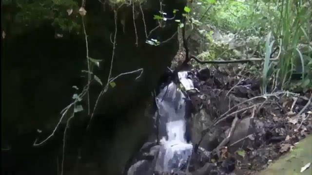 О жалости к телу Святые Отцы мирянам смотреть онлайн