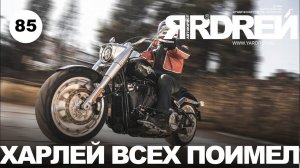 Харлей всех поимел