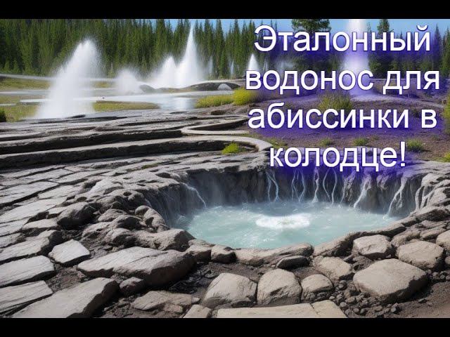 д Беклемишево, СНТ Юнона, колодец с эталонным водоносом для абиссинской скважины!