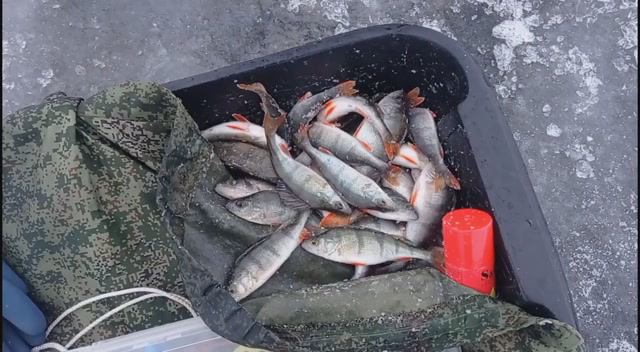 СОСЕВО-ТОТАЛОВО! Но это не точно! Зимняя рыбалка на Псковском озере. смотреть онлайн