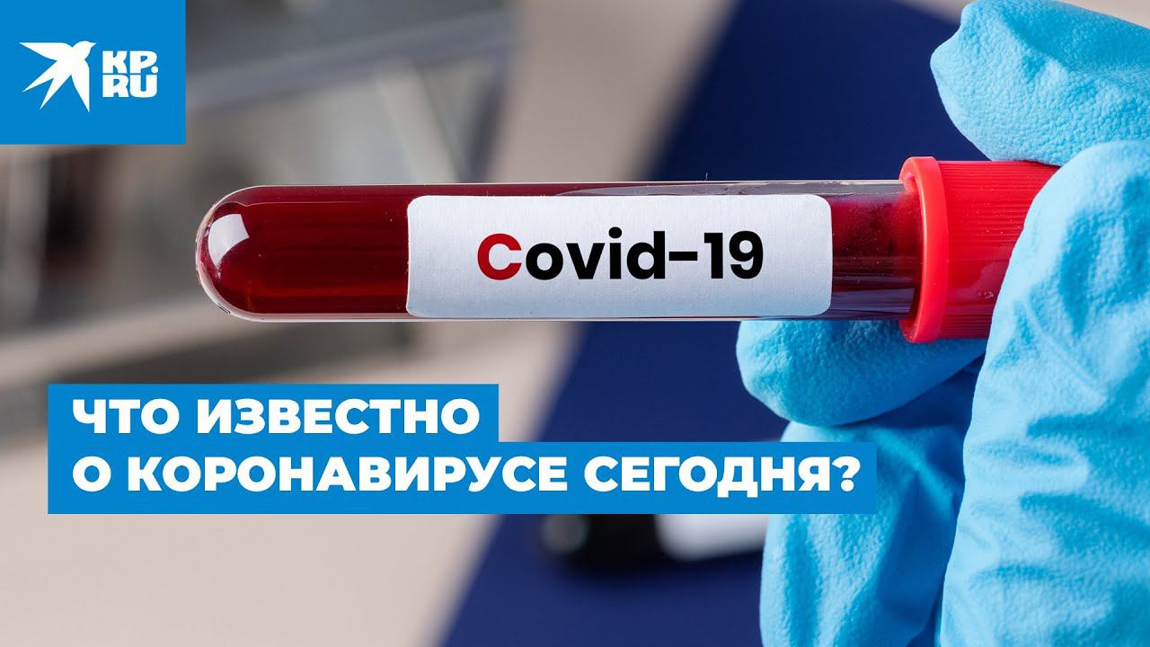 Что известно о коронавирусе сегодня? Новые достоверные данные о Covid-19