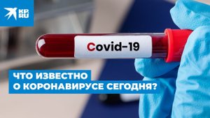 Что известно о коронавирусе сегодня? Новые достоверные данные о Covid-19