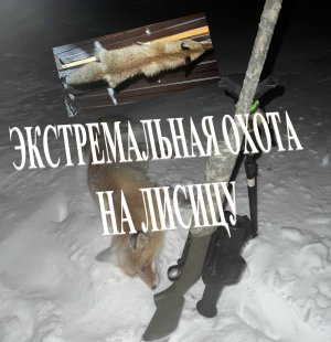 Экстремальная охота на лису. Охота на приваде.