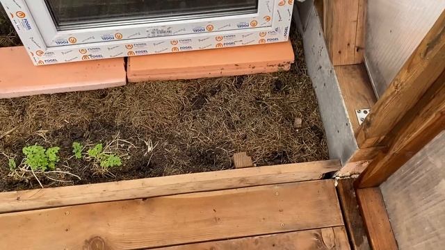 Будни фермера овощевода тепличника или возня с рассадой. Отправили кур в отпуск "по обмену" смотреть онлайн