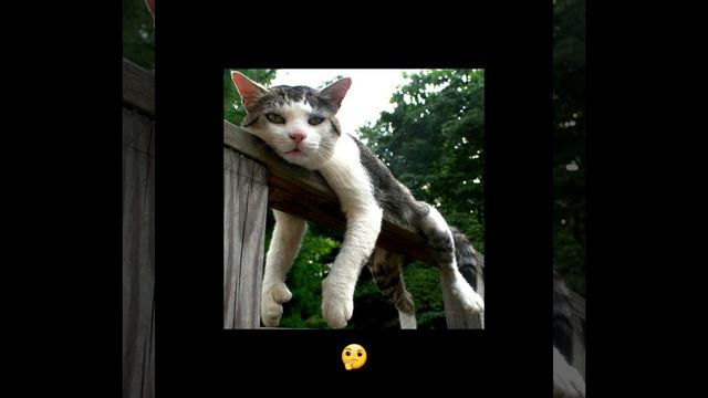 Даю номер карты | Быстрый заработок смотреть онлайн