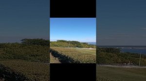 4 сентября Ульяновск