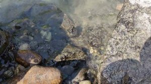 Вода бьется о камни. Стоковое видео. Футаж. / Water and rocks. Stock video. Footage.