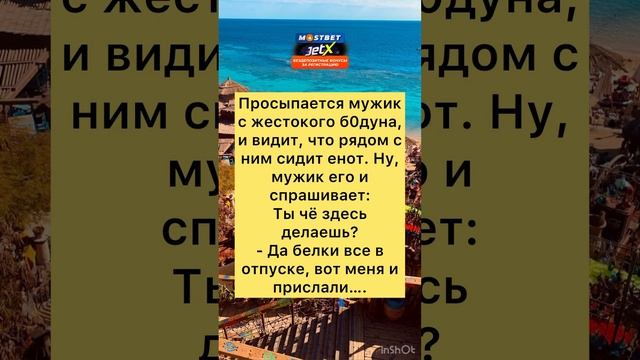 Шутки БЕЛОЧКА ?️ #анекдоты #шутки #приколы #радость #юмор #смех