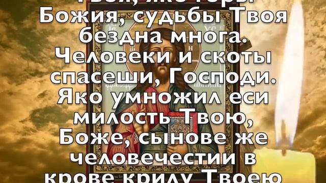 СЕГОДНЯ НЕ ПРОПУСТИ ЭТУ МОЛИТВУ, САМАЯ СИЛЬНАЯ НОЧЬ! Вечерняя молитва Господу Богу смотреть онлайн