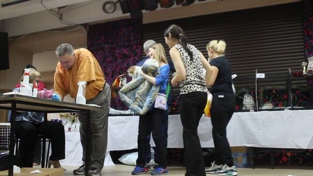 Vlach Kurt на выставке "Сладкий Сон" ДК ГАЗ в Нижнем Новгороде 2015 г. смотреть онлайн