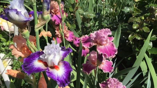 31 мая 2022 г. смотреть онлайн