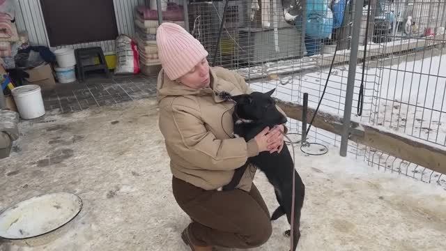 Две новые бояки в Хвостатом Счастье