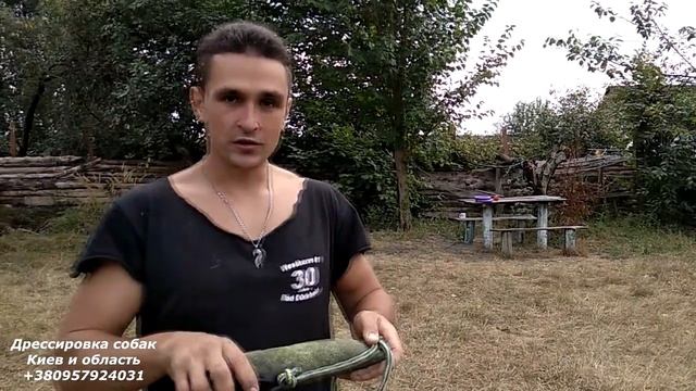 211. Играем с Тави, как научить собаку приносить игрушку, как научить отдавать игрушку смотреть онлайн