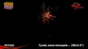 Фейерверк РС7220 Гуляй пока молодой (1.0 х 36 залпов)