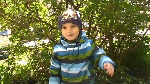 Владимир Орлов «Родное»