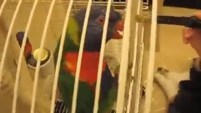 В молитве не уподобьтесь попугаю. смотреть онлайн