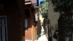 Паркуристы