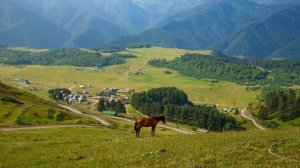 #Тушетия, #Грузия 4K / #Georgia, #Tusheti