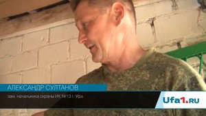 Волкособ понимает 4 языка
