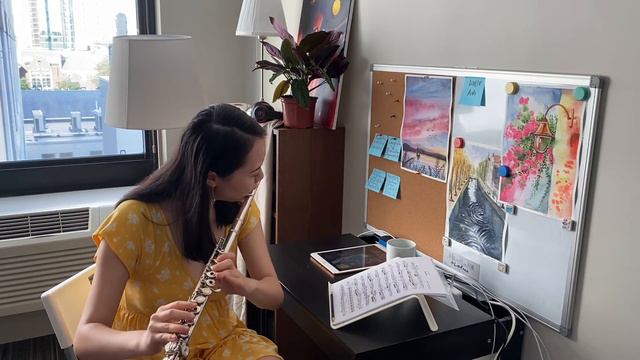 Nocturne Op9 No2 Frederic Chopin | Flute by Yangtube смотреть онлайн