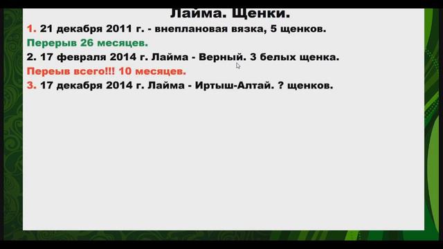 🔴Предатель друзей наших меньших🔴 Лайки Соловьева смотреть онлайн